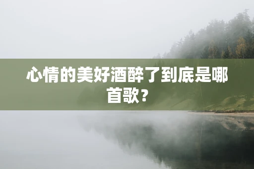 心情的美好酒醉了到底是哪首歌？