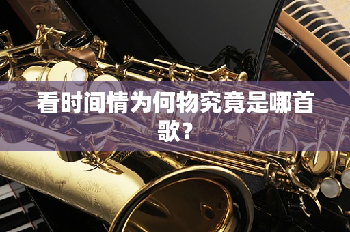 看时间情为何物究竟是哪首歌？