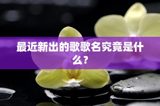 最近新出的歌歌名究竟是什么？