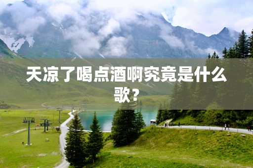 天凉了喝点酒啊究竟是什么歌？