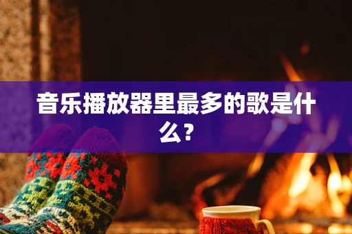 音乐播放器里最多的歌是什么？