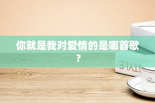 你就是我对爱情的是哪首歌？