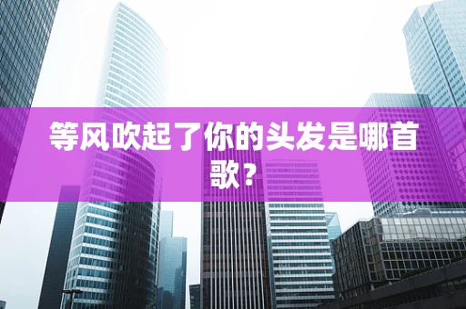 等风吹起了你的头发是哪首歌？