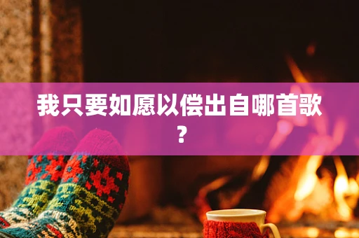 我只要如愿以偿出自哪首歌？