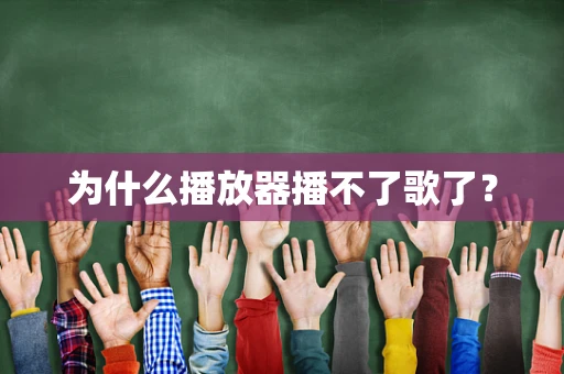 为什么播放器播不了歌了？