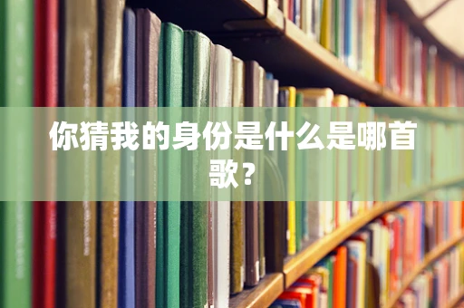 你猜我的身份是什么是哪首歌？