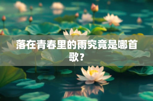 落在青春里的雨究竟是哪首歌？