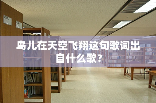 鸟儿在天空飞翔这句歌词出自什么歌？