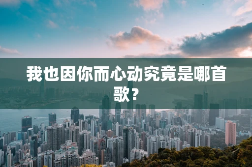 我也因你而心动究竟是哪首歌？