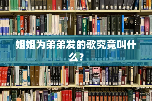姐姐为弟弟发的歌究竟叫什么？