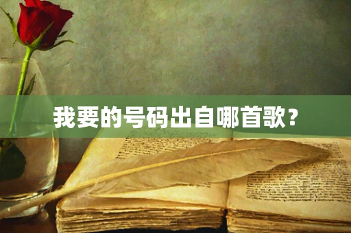 我要的号码出自哪首歌？