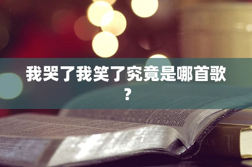 我哭了我笑了究竟是哪首歌？