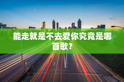 能走就是不去爱你究竟是哪首歌？