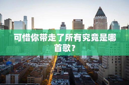 可惜你带走了所有究竟是哪首歌？