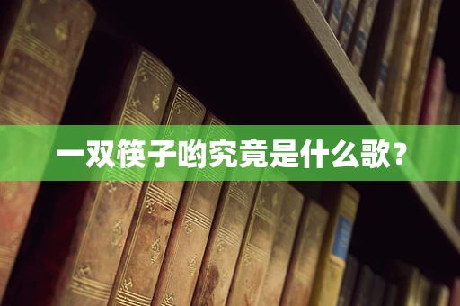 一双筷子哟究竟是什么歌？