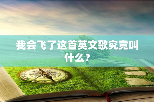 我会飞了这首英文歌究竟叫什么？