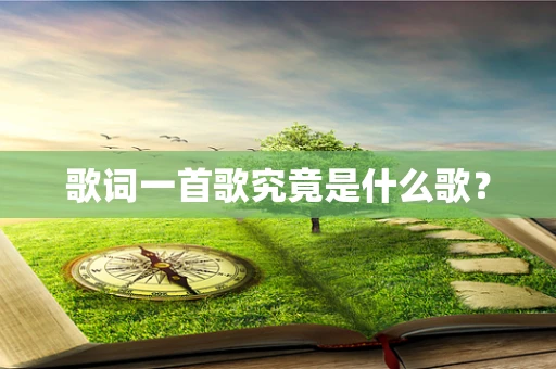 歌词一首歌究竟是什么歌？