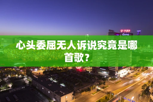 心头委屈无人诉说究竟是哪首歌？
