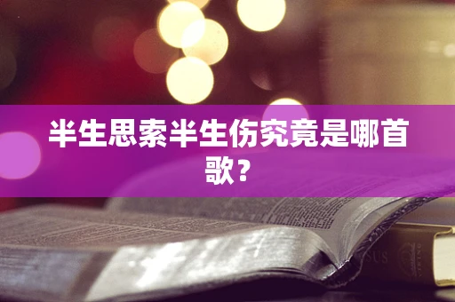 半生思索半生伤究竟是哪首歌？