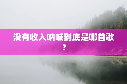 没有收入呐喊到底是哪首歌？