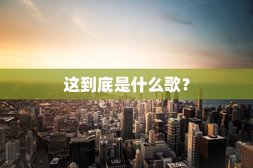 这到底是什么歌？