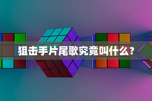 狙击手片尾歌究竟叫什么？