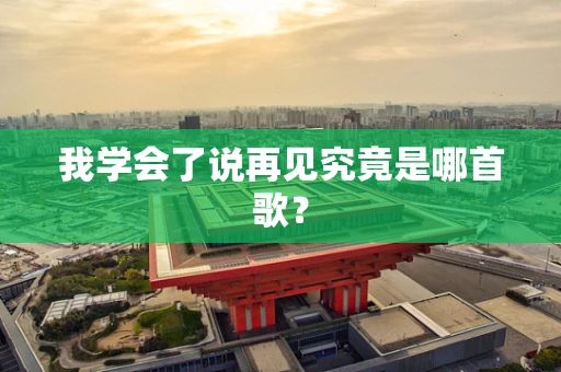 我学会了说再见究竟是哪首歌？