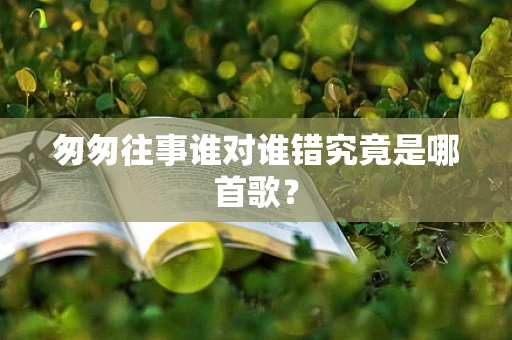 匆匆往事谁对谁错究竟是哪首歌？
