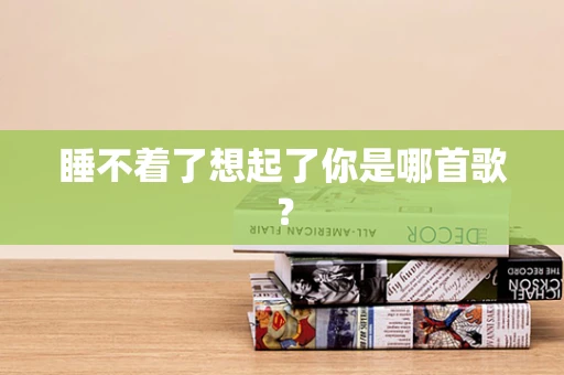 睡不着了想起了你是哪首歌？