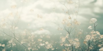 一阵阵的清风究竟出自哪首歌？