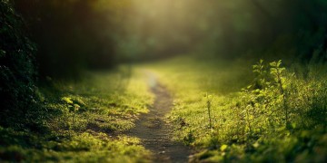 离开后就别回头了究竟是哪首歌？