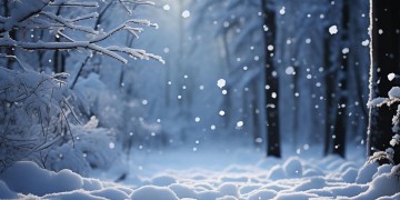 雪下的那么深出自哪首歌？