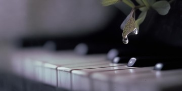 你可曾预见了悲伤出自哪首歌？