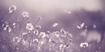 微笑着去死吧究竟是哪首歌？