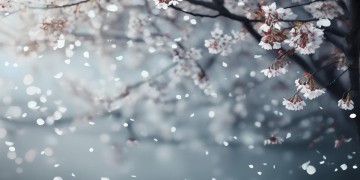 想爱你但怕受伤到底是什么歌？
