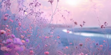 吹梦到西洲韩文版究竟是什么歌？