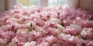 真爱无需喧嚣究竟是哪首歌？