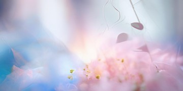 李荣豪心里只有你究竟是哪首歌？