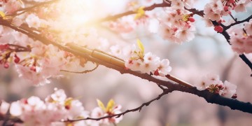 什么流行歌适合笛子和声乐搭配呢？