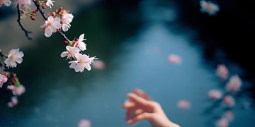 爱情啊好伤悲究竟是哪首歌？