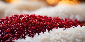 红饭饭白饭饭究竟是哪首歌？