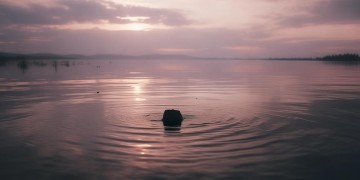 莫名的惶恐出自哪首歌？