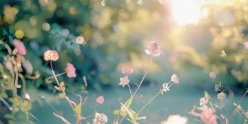 金玟岐歌词哎呀呀是哪首歌？