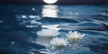 海上皓月镜中花出自什么歌？