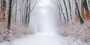 漫步在下雪的初秋究竟是哪首歌？