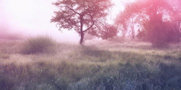 总是坏坏的这句歌词出自哪首歌？