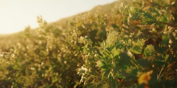 伤心就去丽江究竟是哪首歌？
