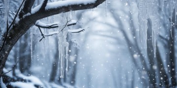 如歌和银雪究竟是什么关系？