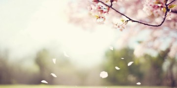 你的什么不是什么歌？