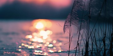 暮江吟能成为怎样的歌曲？